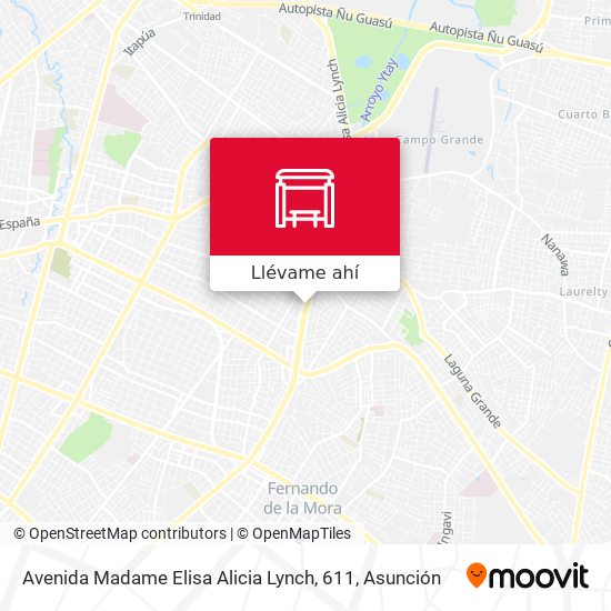 Mapa de Avenida Madame Elisa Alicia Lynch, 611