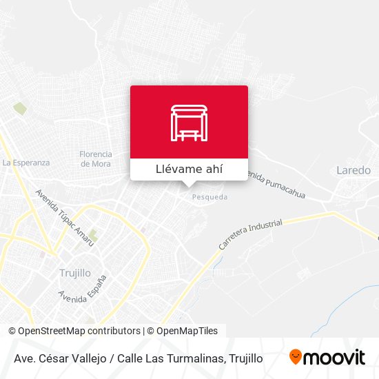 Mapa de Ave. César Vallejo / Calle Las Turmalinas