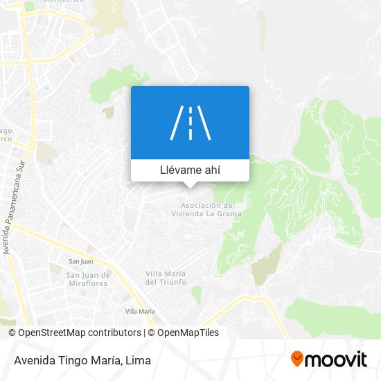 Mapa de Avenida Tingo María