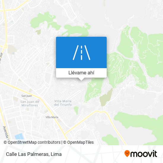 Mapa de Calle Las Palmeras
