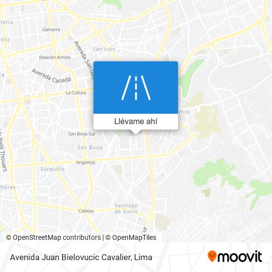 Mapa de Avenida Juan Bielovucic Cavalier