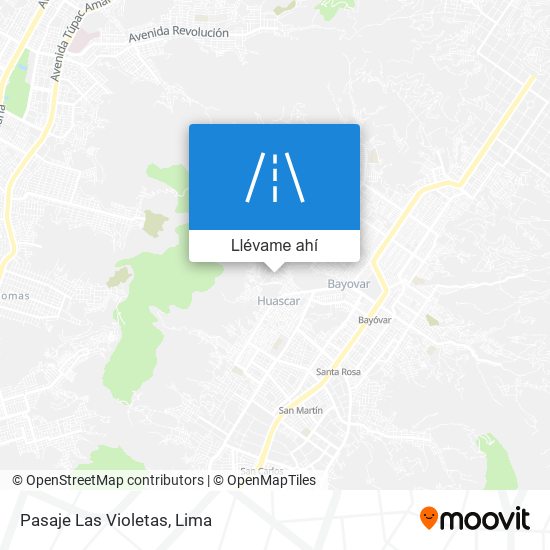 Mapa de Pasaje Las Violetas