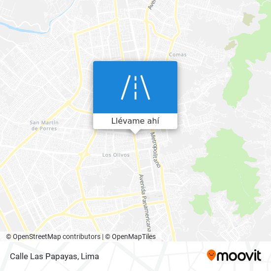 Mapa de Calle Las Papayas