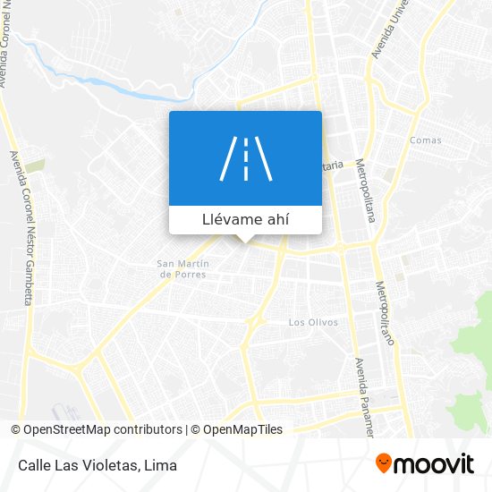 Mapa de Calle Las Violetas