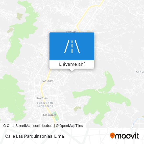 Mapa de Calle Las Parquinsonias