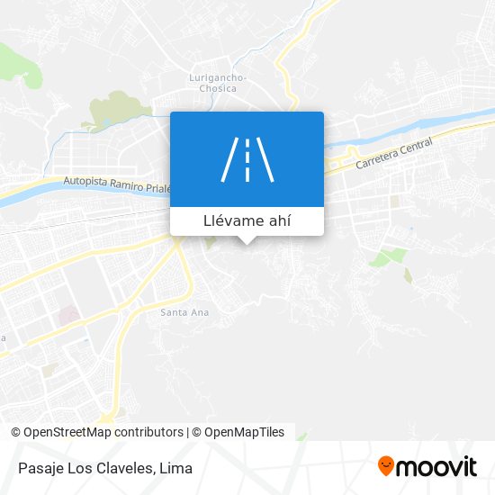 Mapa de Pasaje Los Claveles