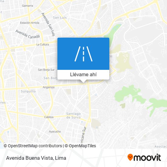 Mapa de Avenida Buena Vista