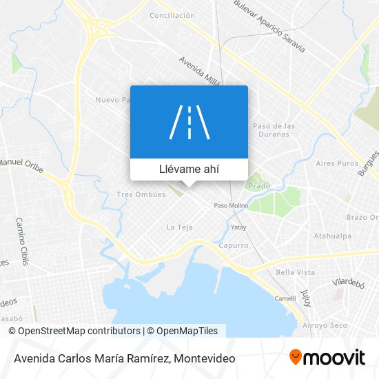 Mapa de Avenida Carlos María Ramírez