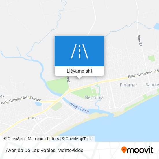 Mapa de Avenida De Los Robles