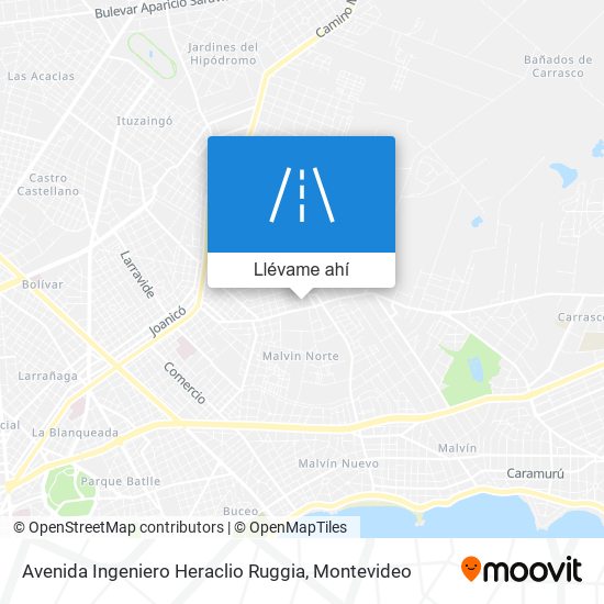 Mapa de Avenida Ingeniero Heraclio Ruggia