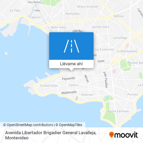 Mapa de Avenida Libertador Brigadier General Lavalleja