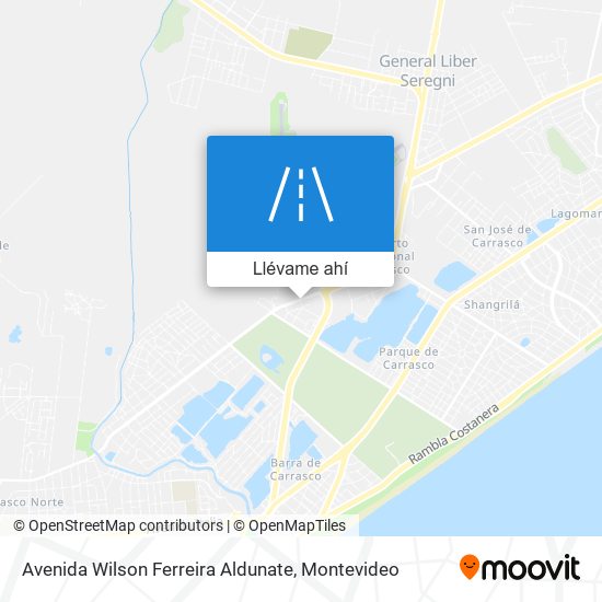 Mapa de Avenida Wilson Ferreira Aldunate