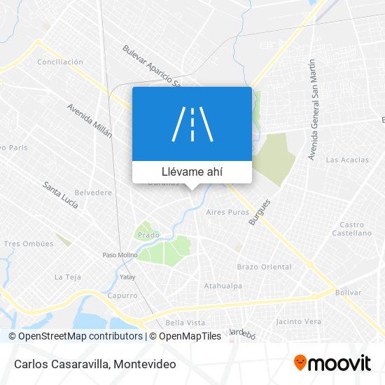 Mapa de Carlos Casaravilla