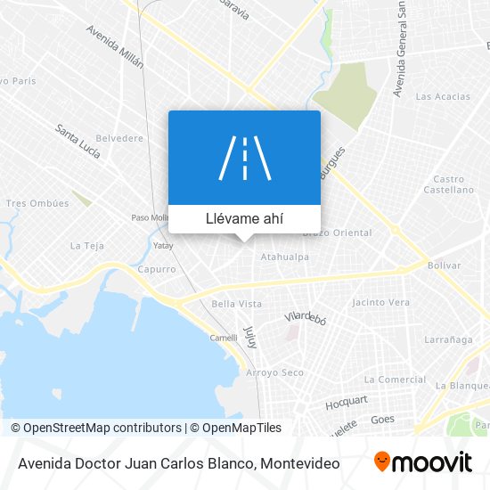 Mapa de Avenida Doctor Juan Carlos Blanco