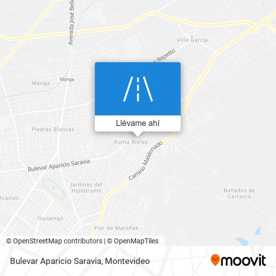 Mapa de Bulevar Aparicio Saravia