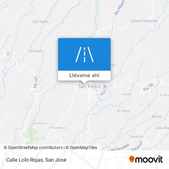 Mapa de Calle Lolo Rojas