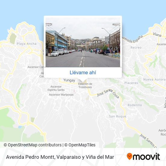 Mapa de Avenida Pedro Montt