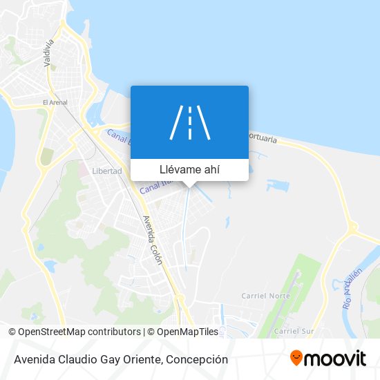 Mapa de Avenida Claudio Gay Oriente