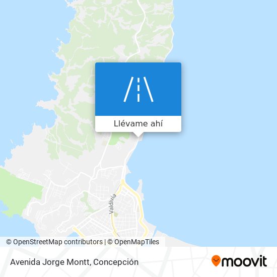 Mapa de Avenida Jorge Montt