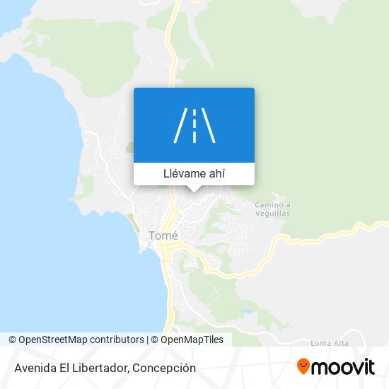 Mapa de Avenida El Libertador