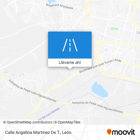 Mapa de Calle Angelina Martínez De T.