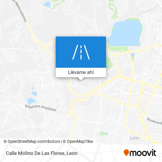 Mapa de Calle Molino De Las Flores