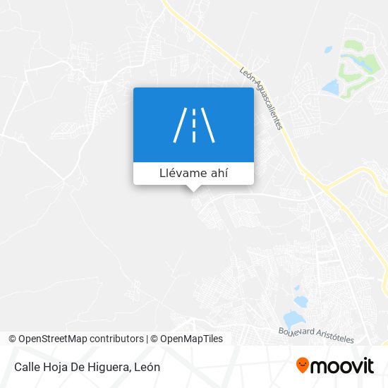 Mapa de Calle Hoja De Higuera