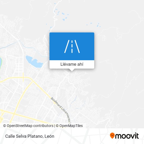 Mapa de Calle Selva Platano