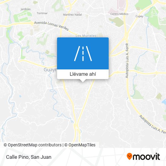 Mapa de Calle Pino