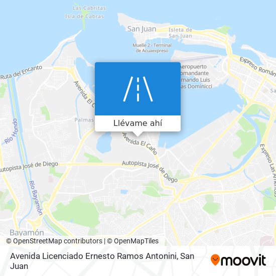 Mapa de Avenida Licenciado Ernesto Ramos Antonini