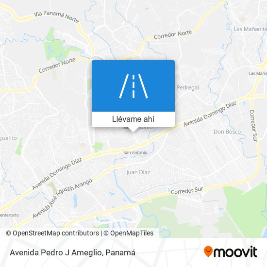 Mapa de Avenida Pedro J Ameglio