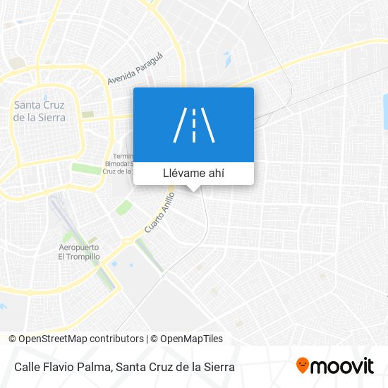 Mapa de Calle Flavio Palma