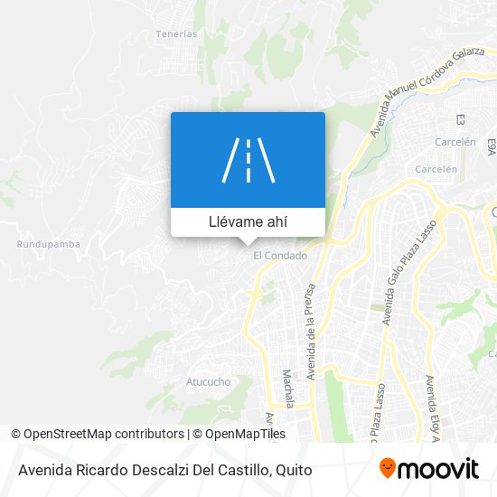 Mapa de Avenida Ricardo Descalzi Del Castillo