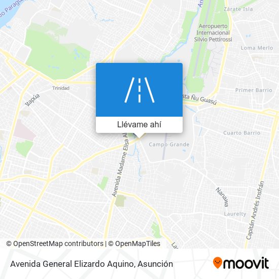 Mapa de Avenida General Elizardo Aquino