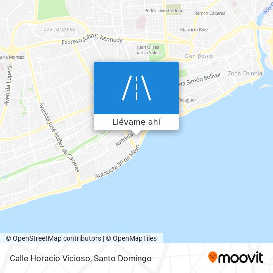 Mapa de Calle Horacio Vicioso