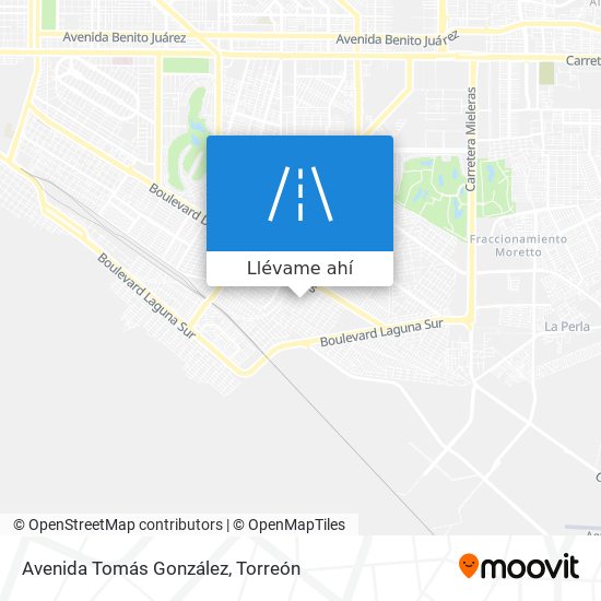 Mapa de Avenida Tomás González