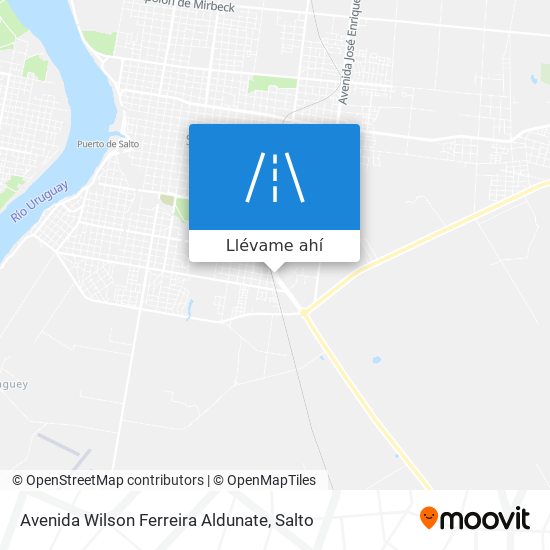 Mapa de Avenida Wilson Ferreira Aldunate