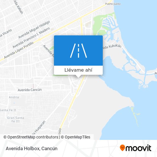 Cómo llegar a Avenida Holbox en Benito Juárez en Autobús?