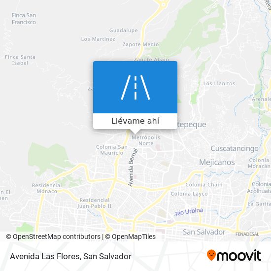 Mapa de Avenida Las Flores