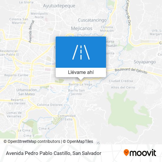 Mapa de Avenida Pedro Pablo Castillo