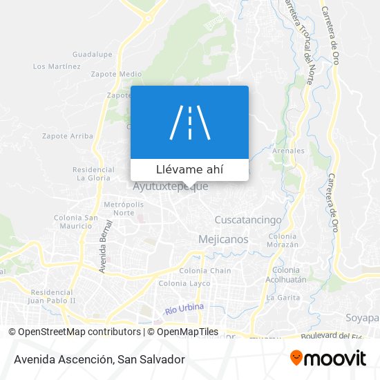 Mapa de Avenida Ascención