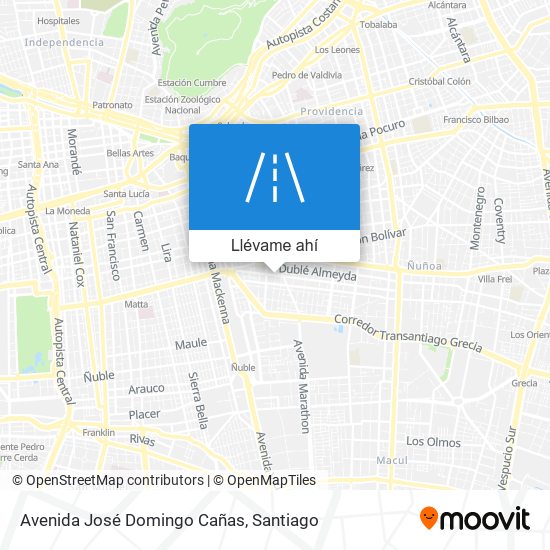 Mapa de Avenida José Domingo Cañas
