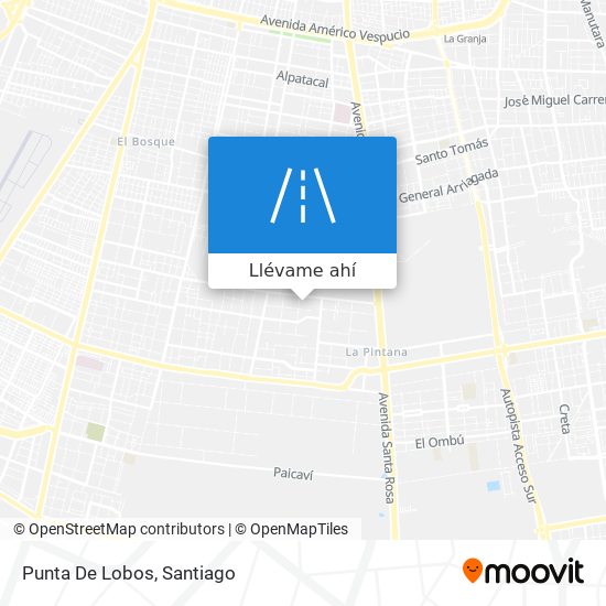 Cómo llegar a Punta De Lobos en La Pintana en Micro o Metro?