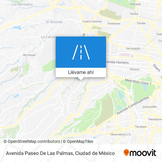 Mapa de Avenida Paseo De Las Palmas