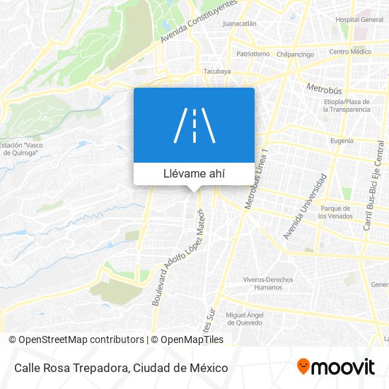 Mapa de Calle Rosa Trepadora