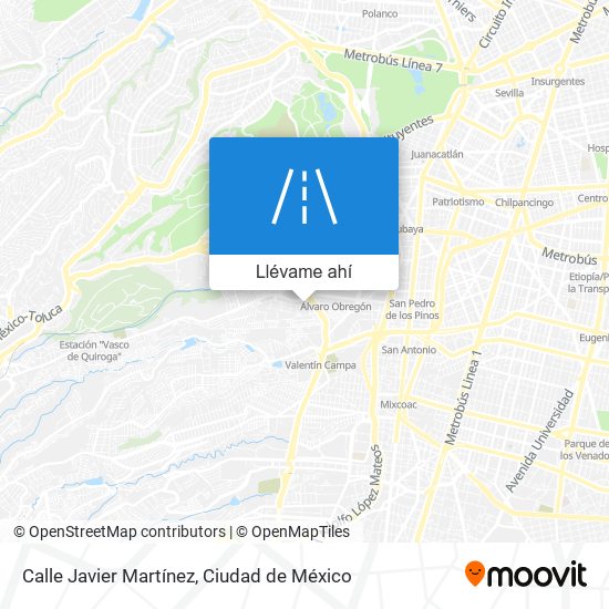 Mapa de Calle Javier Martínez