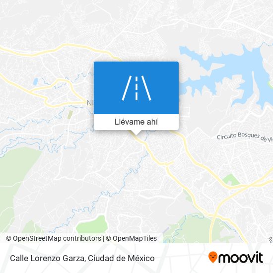 Mapa de Calle Lorenzo Garza
