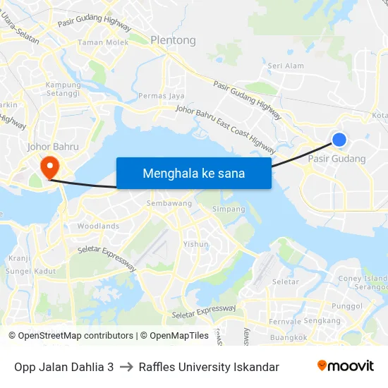 Opp Jalan Dahlia 3 to Raffles University Iskandar map