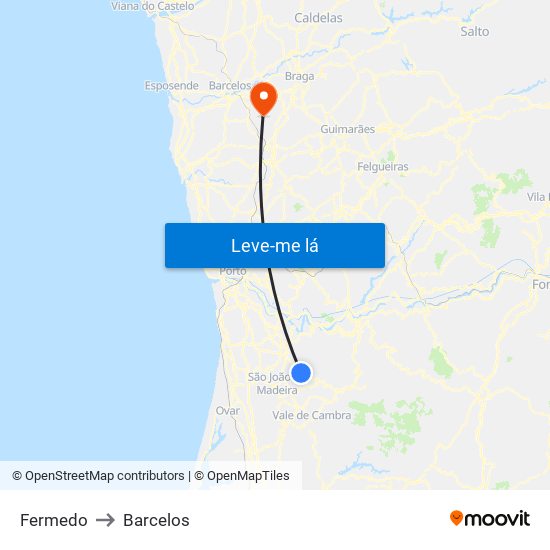 Fermedo to Barcelos map