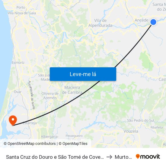 Santa Cruz do Douro e São Tomé de Covelas to Murtosa map